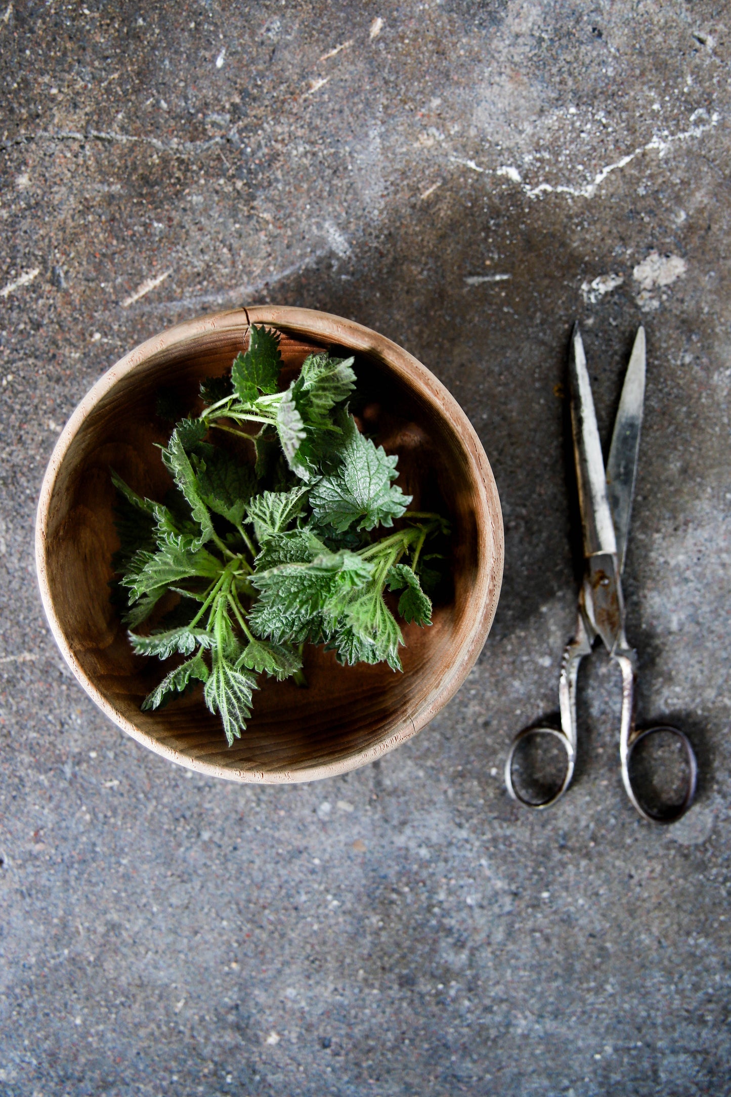 Earth’s Green Energy – Organic Nettle Tea
